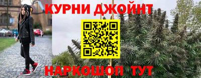 PSILOCYBIN Ирбит