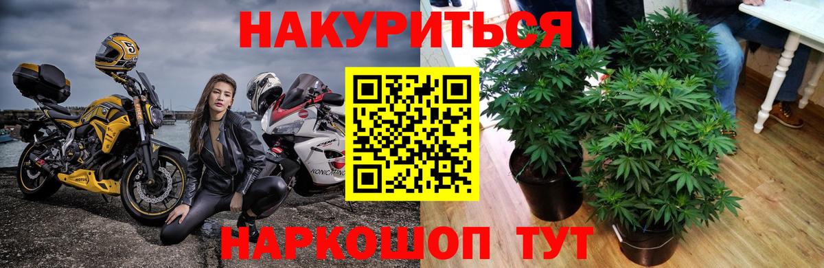 Шишки марихуана тримм  Конопля семена  Конопля тримм  Лыткарино  Вход с VPN 